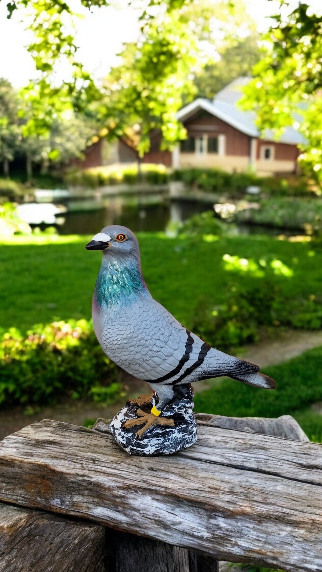 Porumbel Voiajor